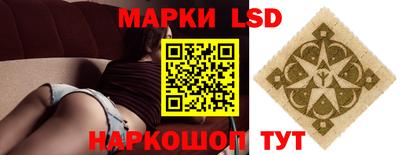спиды Новодвинск