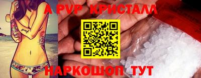 спиды Новодвинск