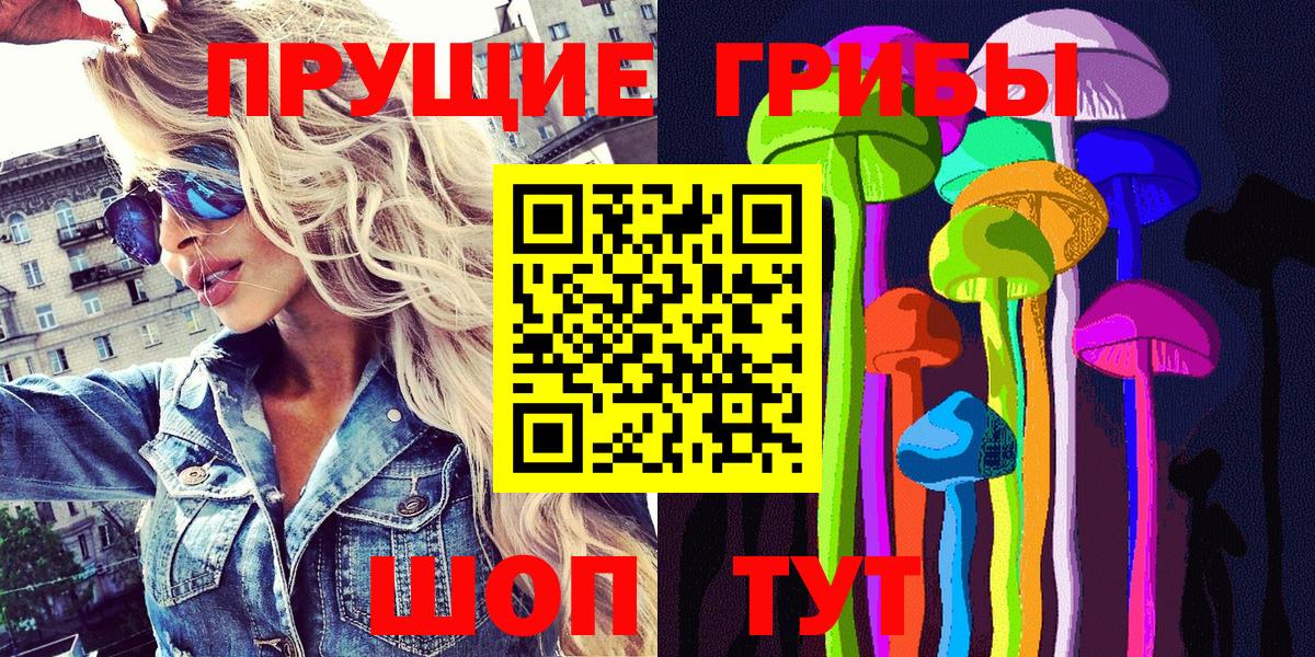 Аргун  Псилоцибиновые грибы мухоморы  Псилоцибиновые грибы Psilocybe  Вход с VPN 